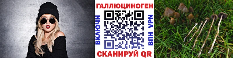 Галлюциногенные грибы мухоморы  Куртамыш 